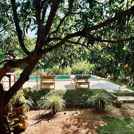 Shan Mango Homestay Sigiriya Luaran gambar