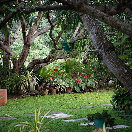 Shan Mango Homestay Sigiriya Luaran gambar