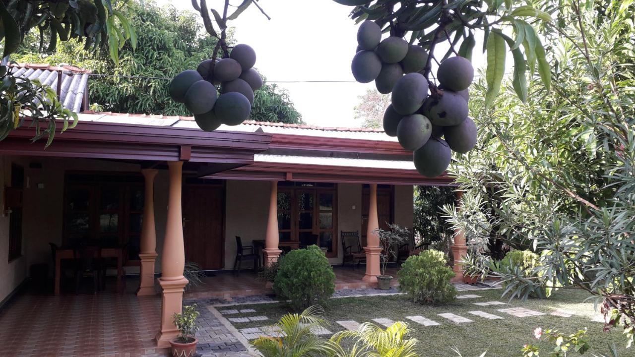 Shan Mango Homestay Sigiriya Luaran gambar
