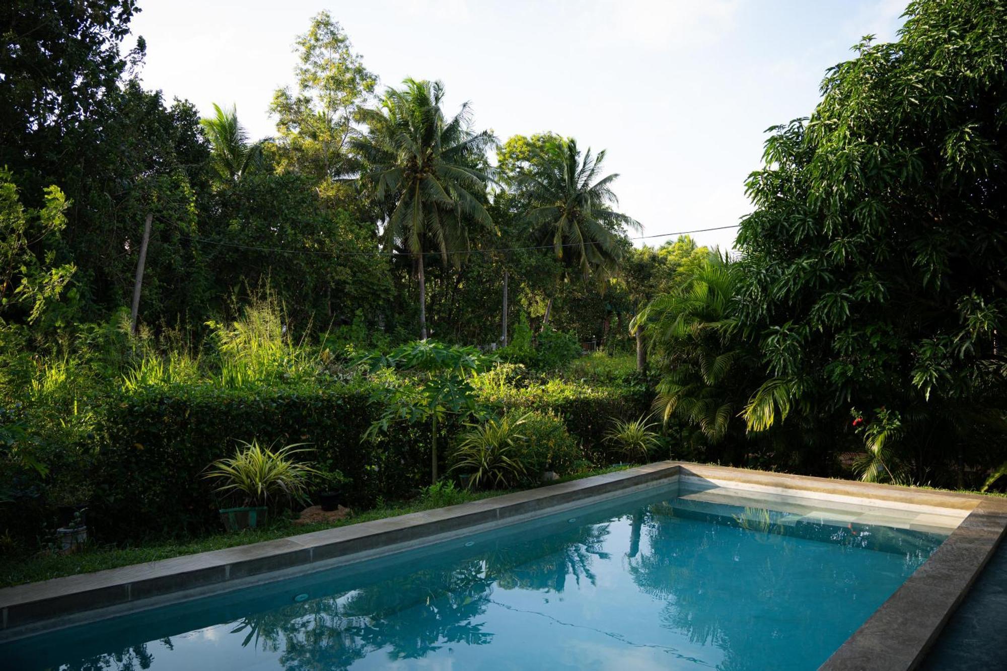 Shan Mango Homestay Sigiriya Luaran gambar
